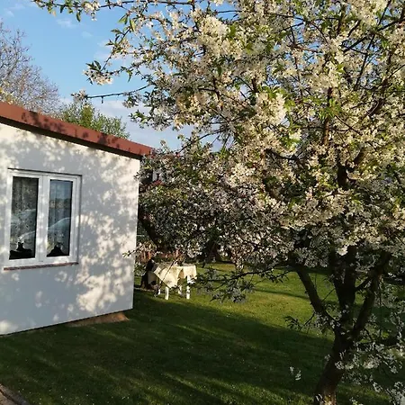 Miwa - Pokoje Do Wynajecia Mikolajki  Exterior photo